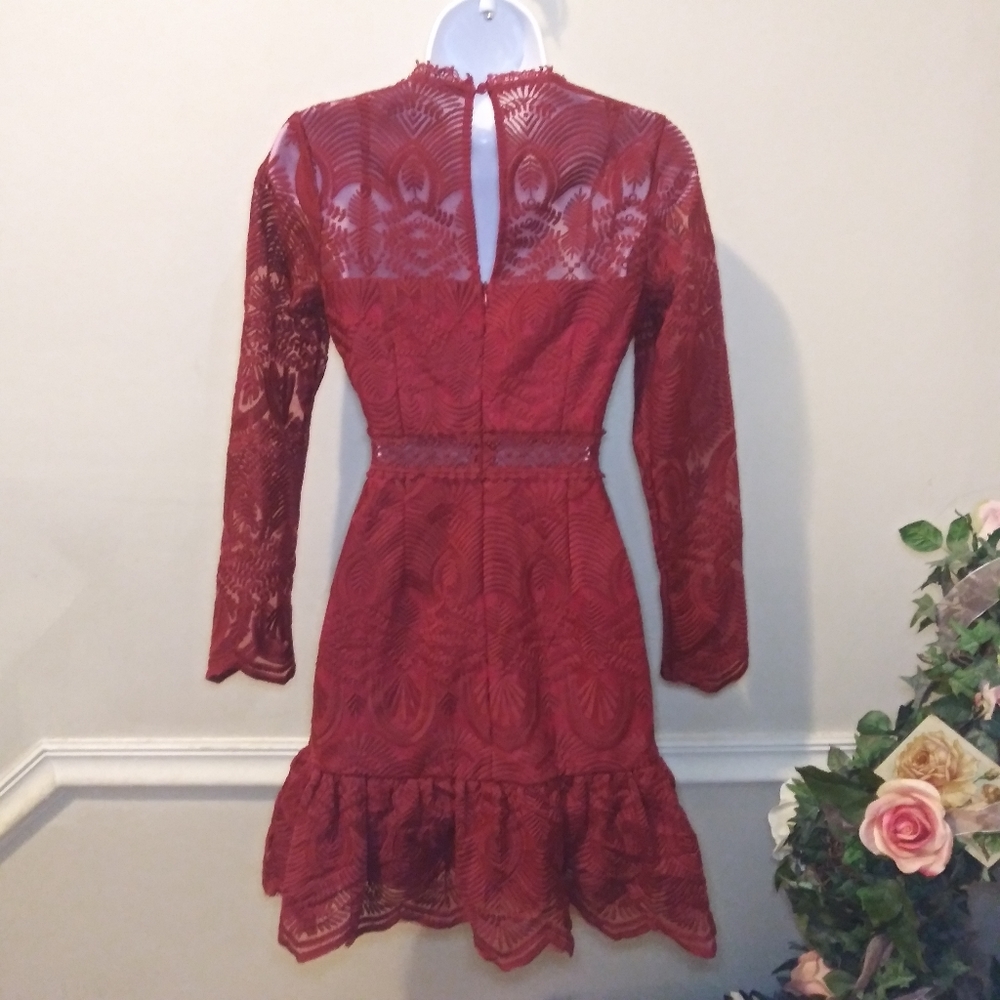Xenia Boutique Sexy Burgundy Embroidered Net Ruffled Hem Mini Dress - Picture 8 of 16